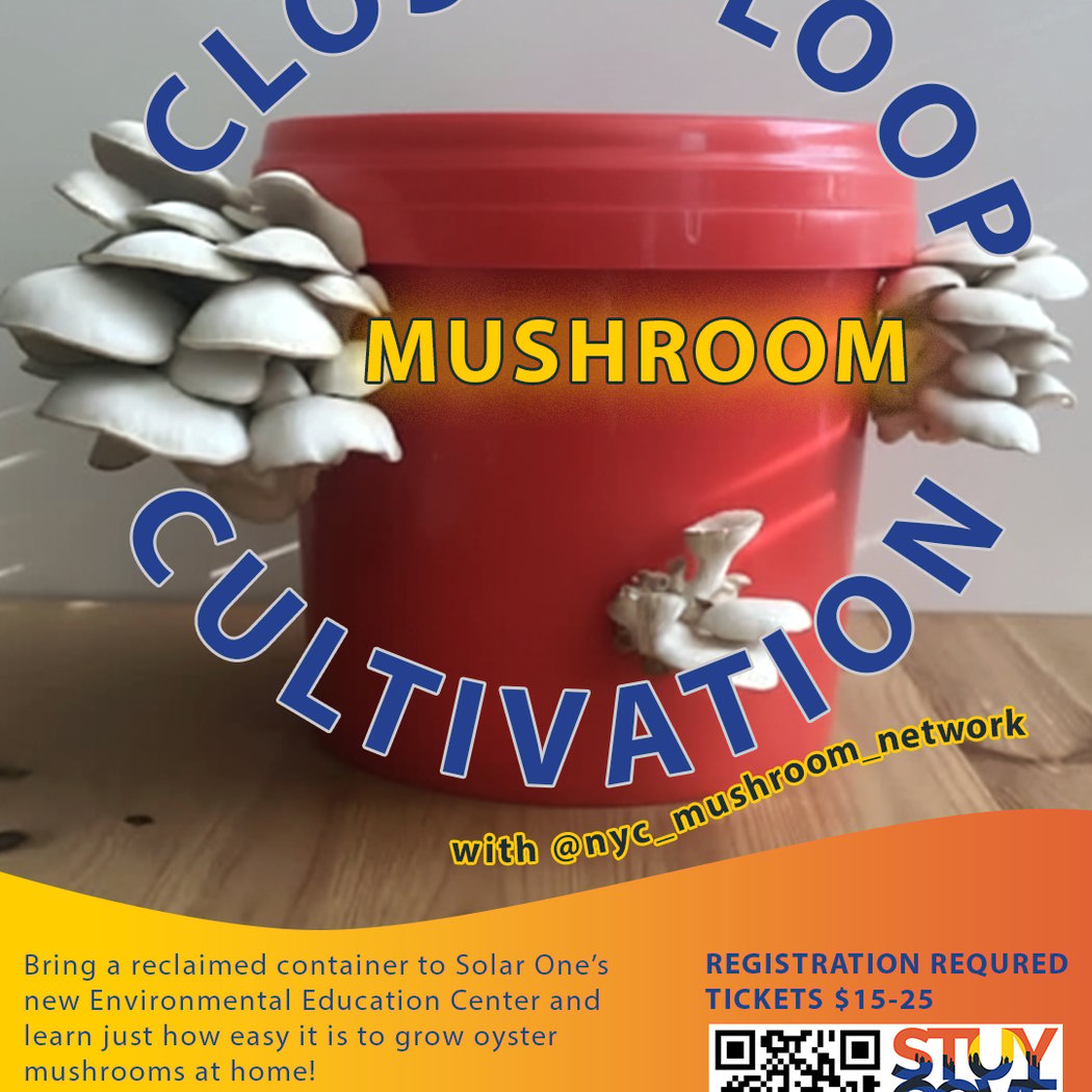 DIY Mushroom Cultivation 1