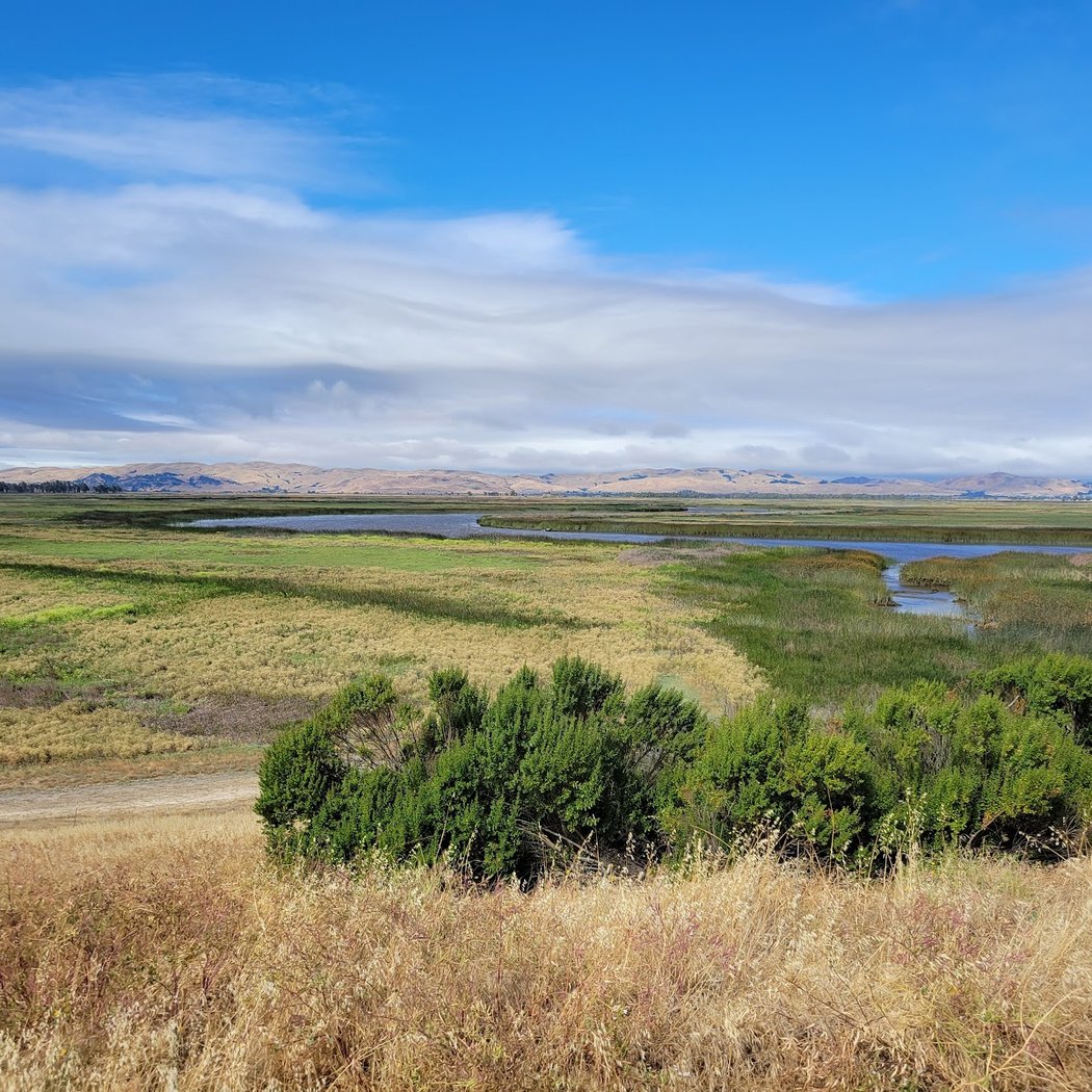 San Francisco Bay National Estuarine Research Reserve 3