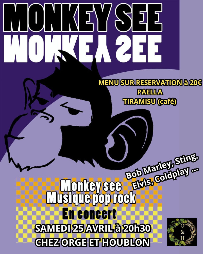Concert des Monkey See 1