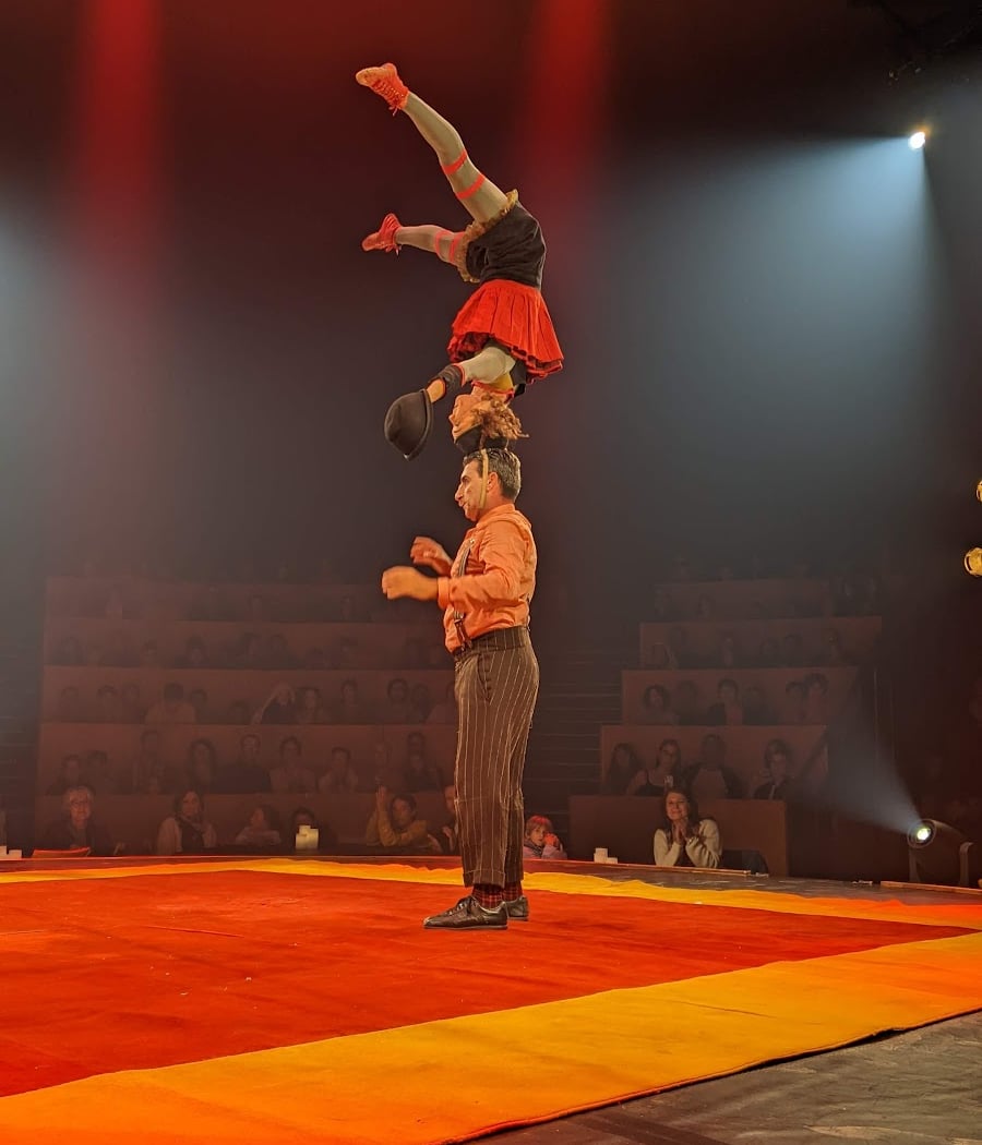 Jours et Nuits de Cirque 3