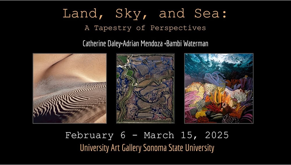 Sonoma State University Art Gallery 3