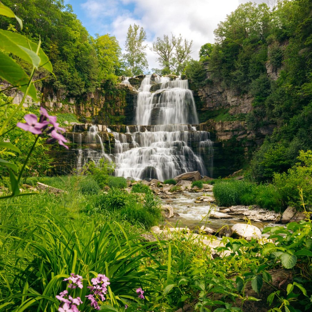 Chittenango Falls State Park 3