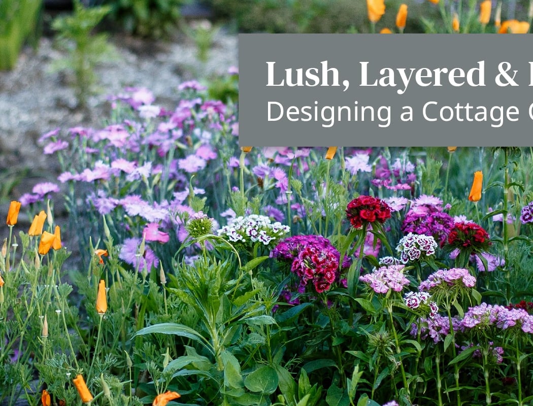 Cottage-Style Garden Design Class 1