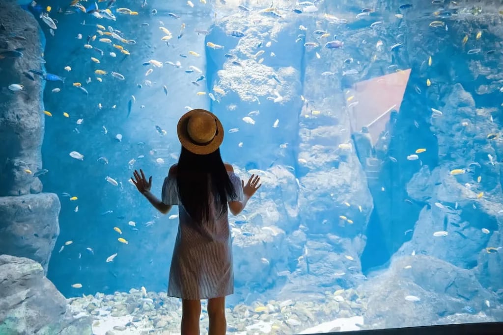 Grand Aquarium de Touraine 2