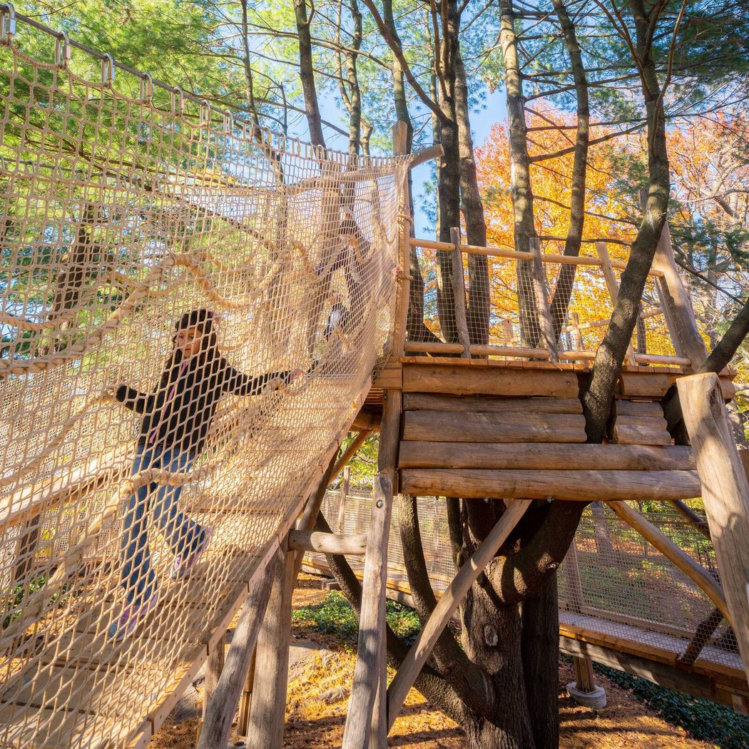 Everett Children's Adventure Garden, NYBG 1