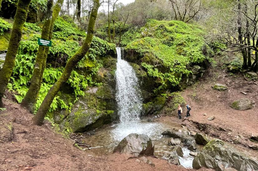 Buck Gulch Falls Trail 2