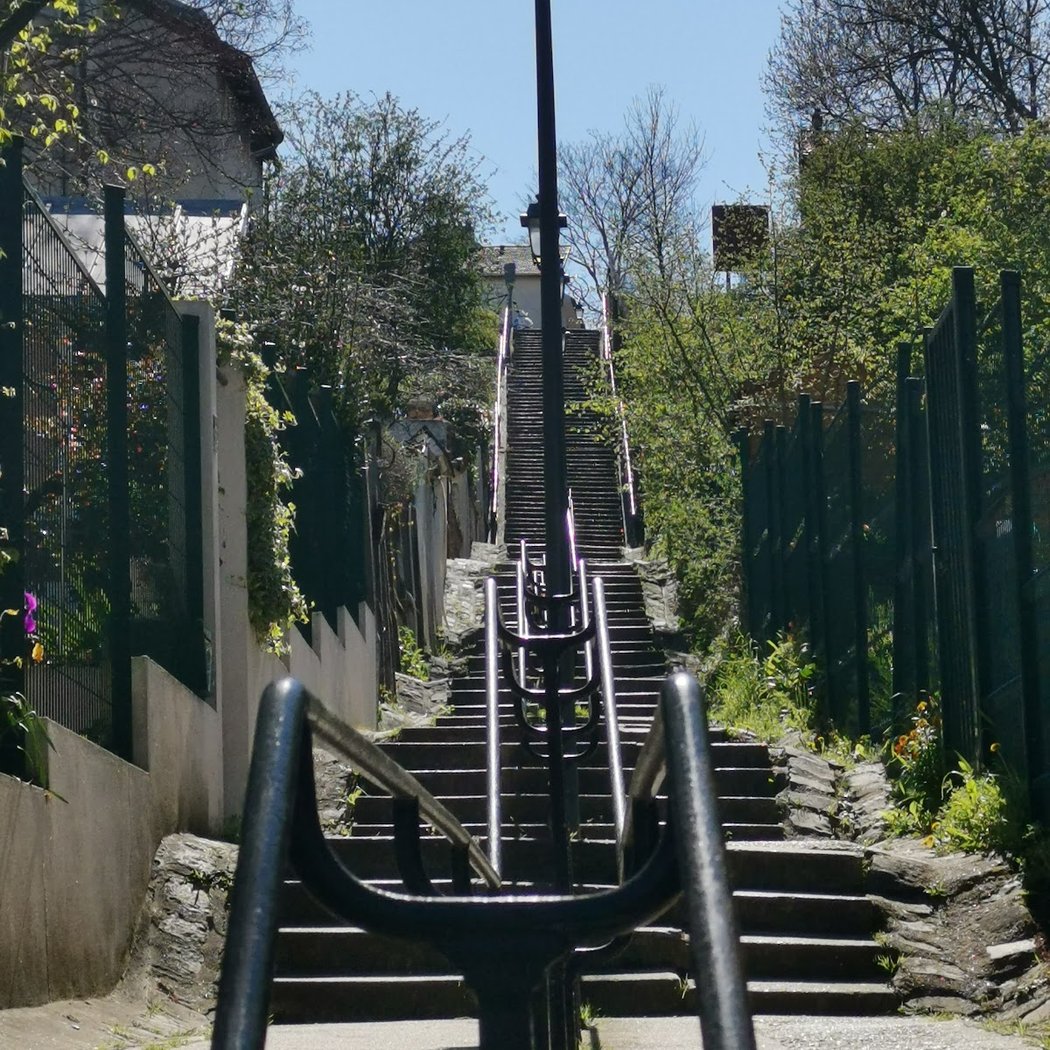 Visite du Chemin des Vignes 2