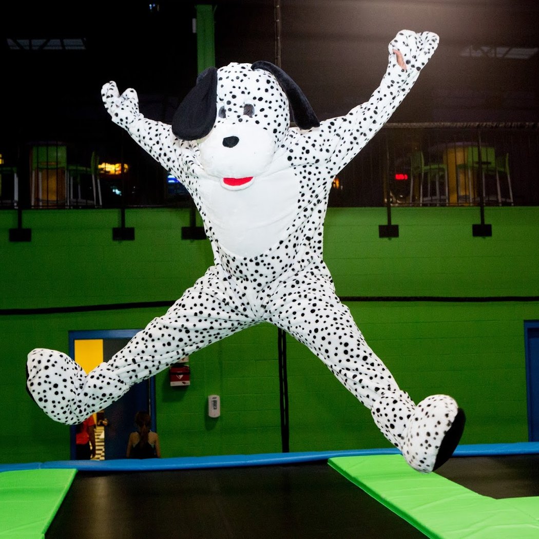 Jumpz Trampoline Sports Danbury (Formerly Bounce Danbury) 1