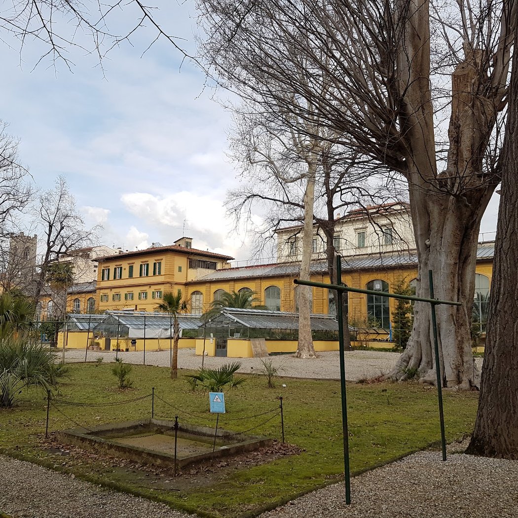 Orto Botanico Giardino dei Semplici - Università di Firenze 3