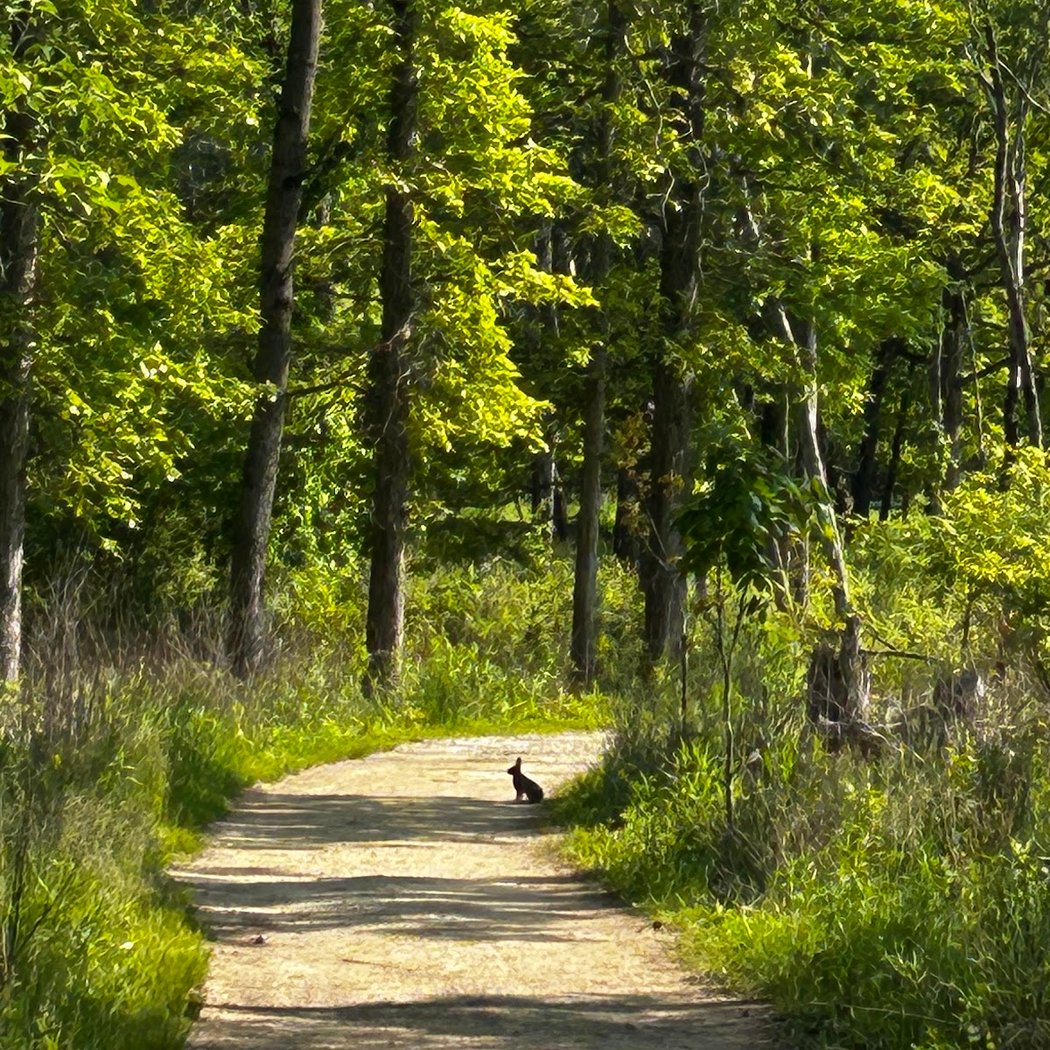 Heller Nature Center 1