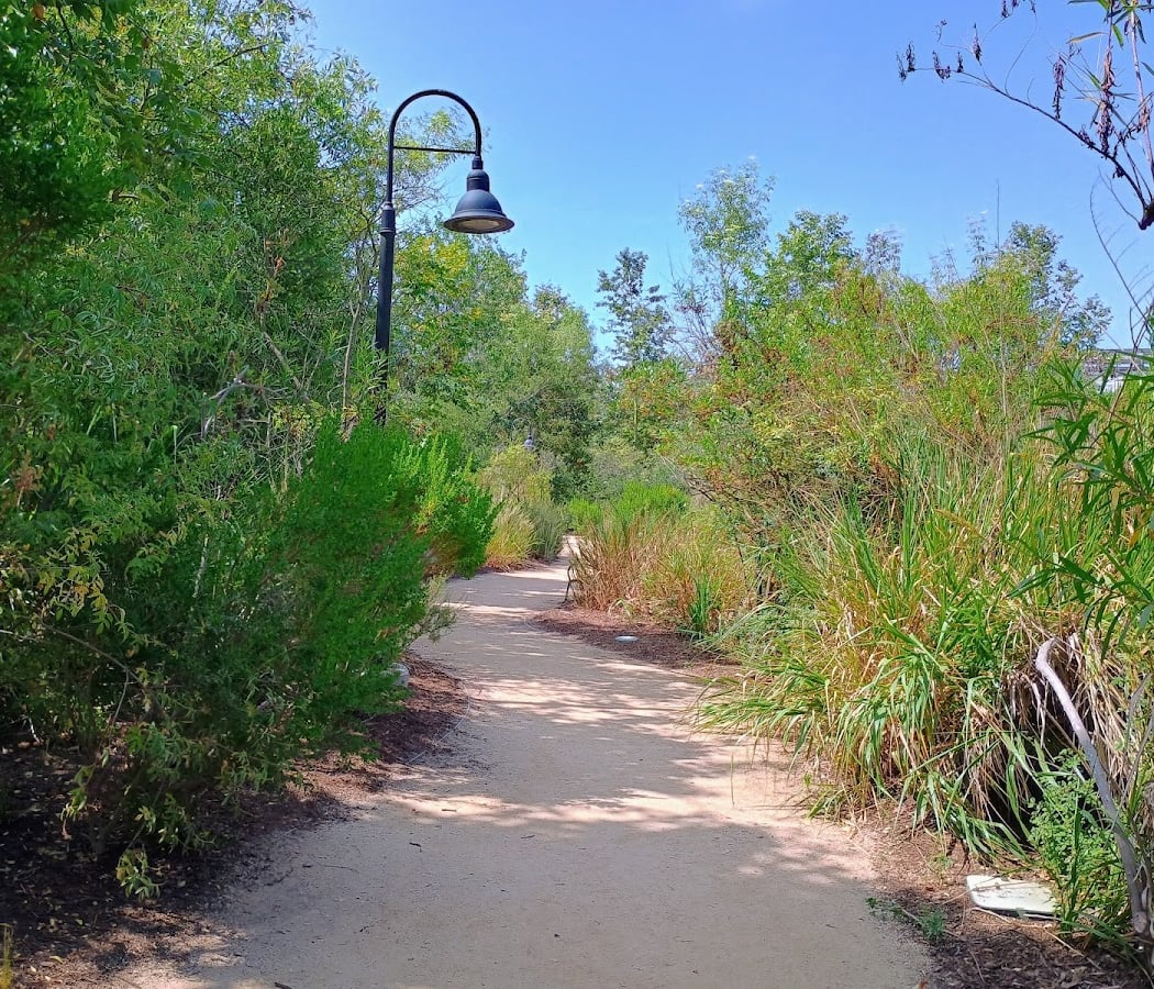Beginner Birding Tour 2