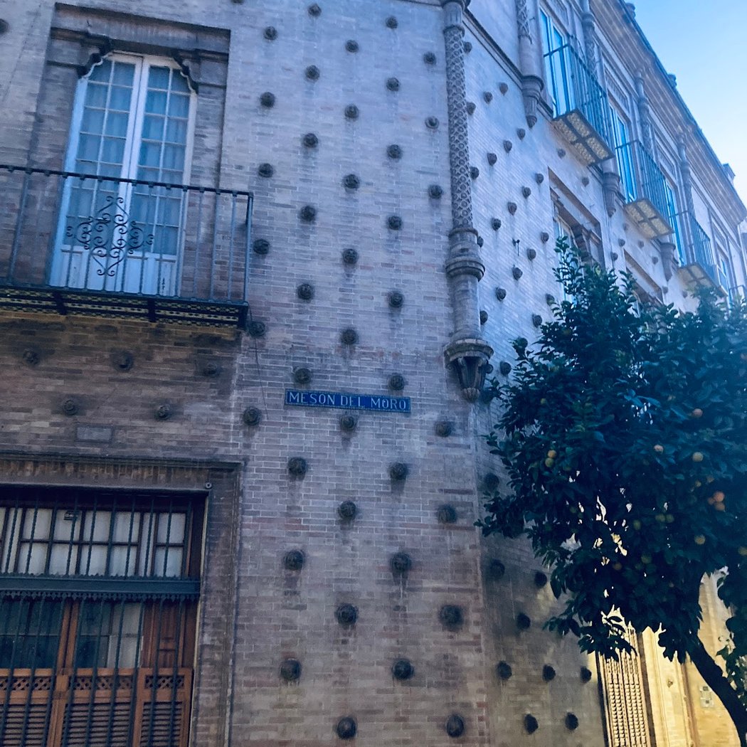 Casa de las Conchas «Aníbal González» 1