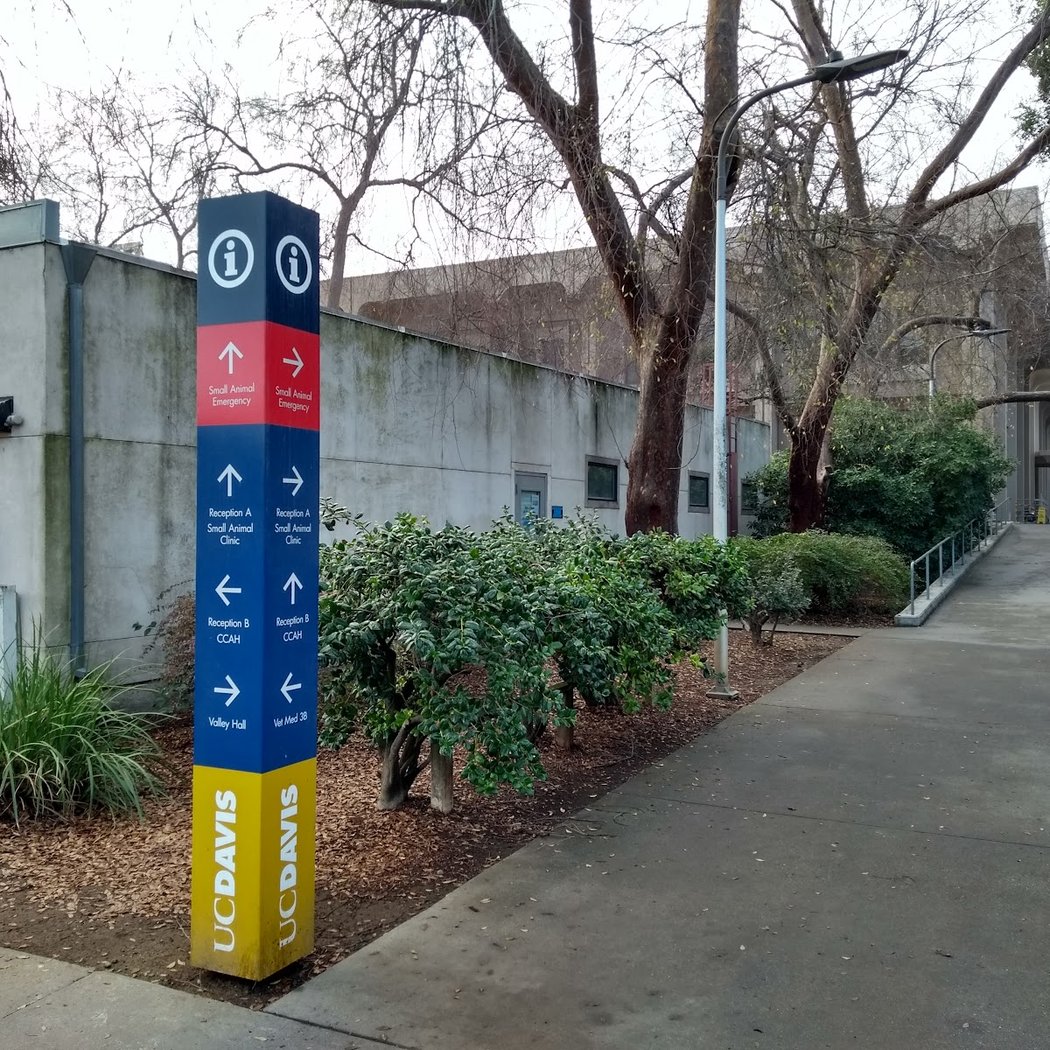 UC Davis Veterinary Hospital - Small Animal Clinic 2
