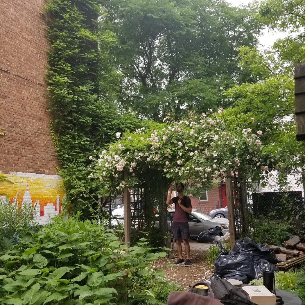 61 Franklin Street 3