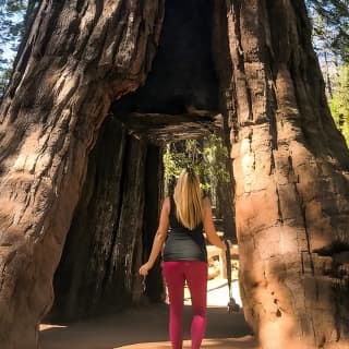 Yosemite and Giant Sequoias Day Tour 1