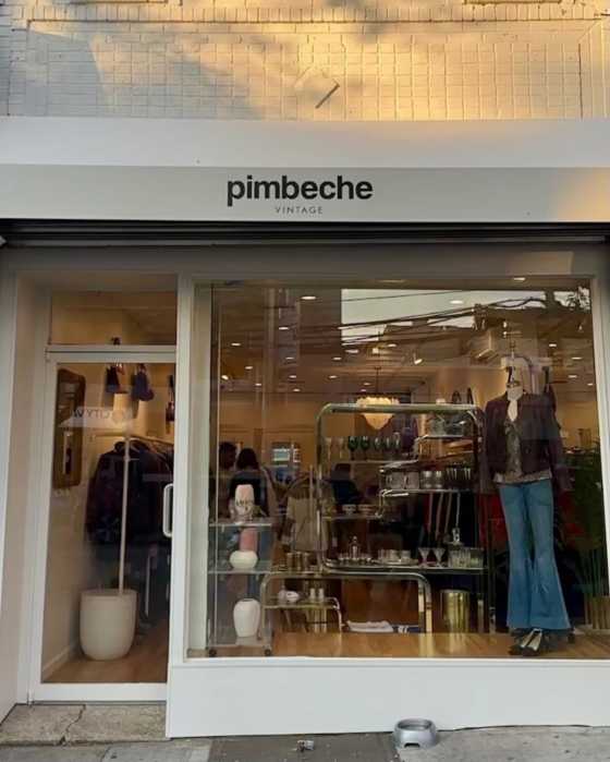 Pimbeche Vintage 3