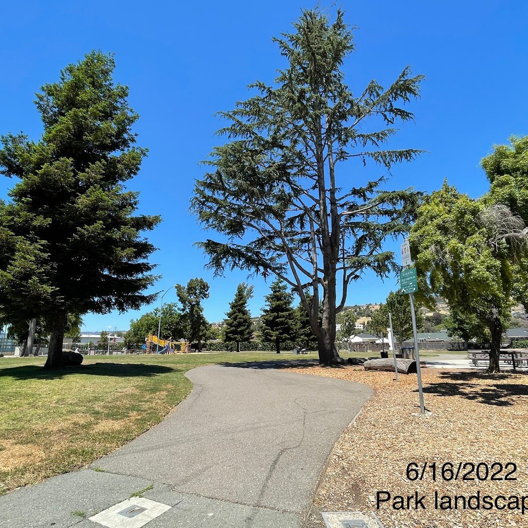 Toyon Park 2