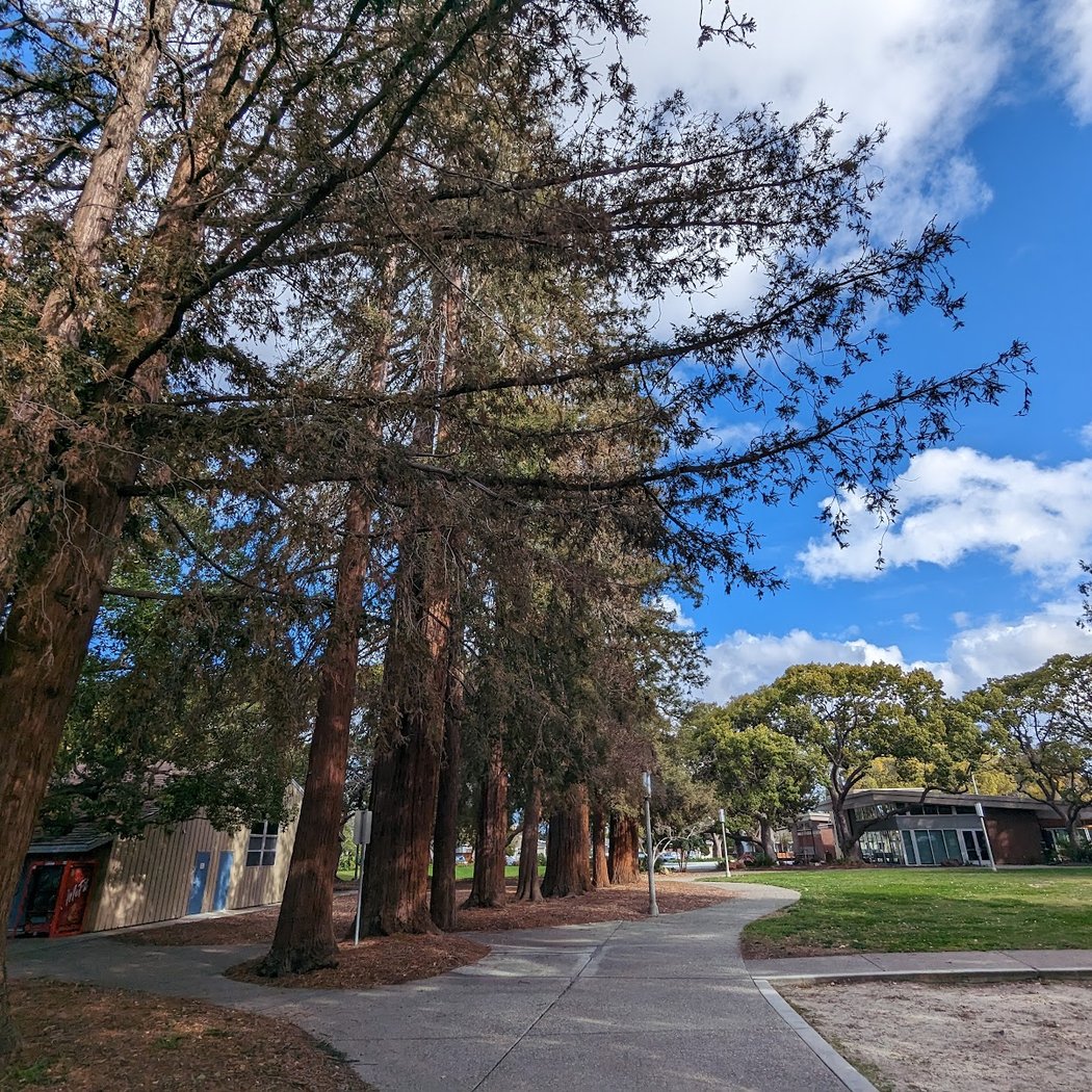 Washington Park 1