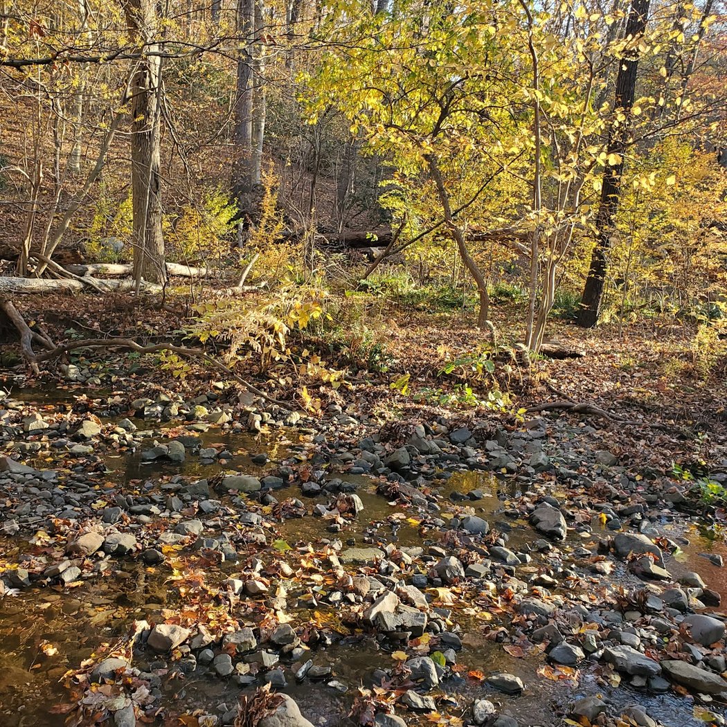 Hiking Trail - South Mountain Reservoir 2
