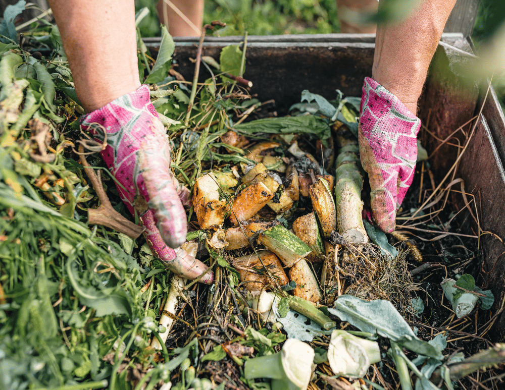 Composting Series: Compost Inputs 1