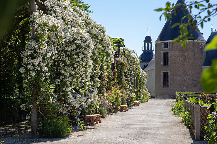 Castle Chamerolles 1