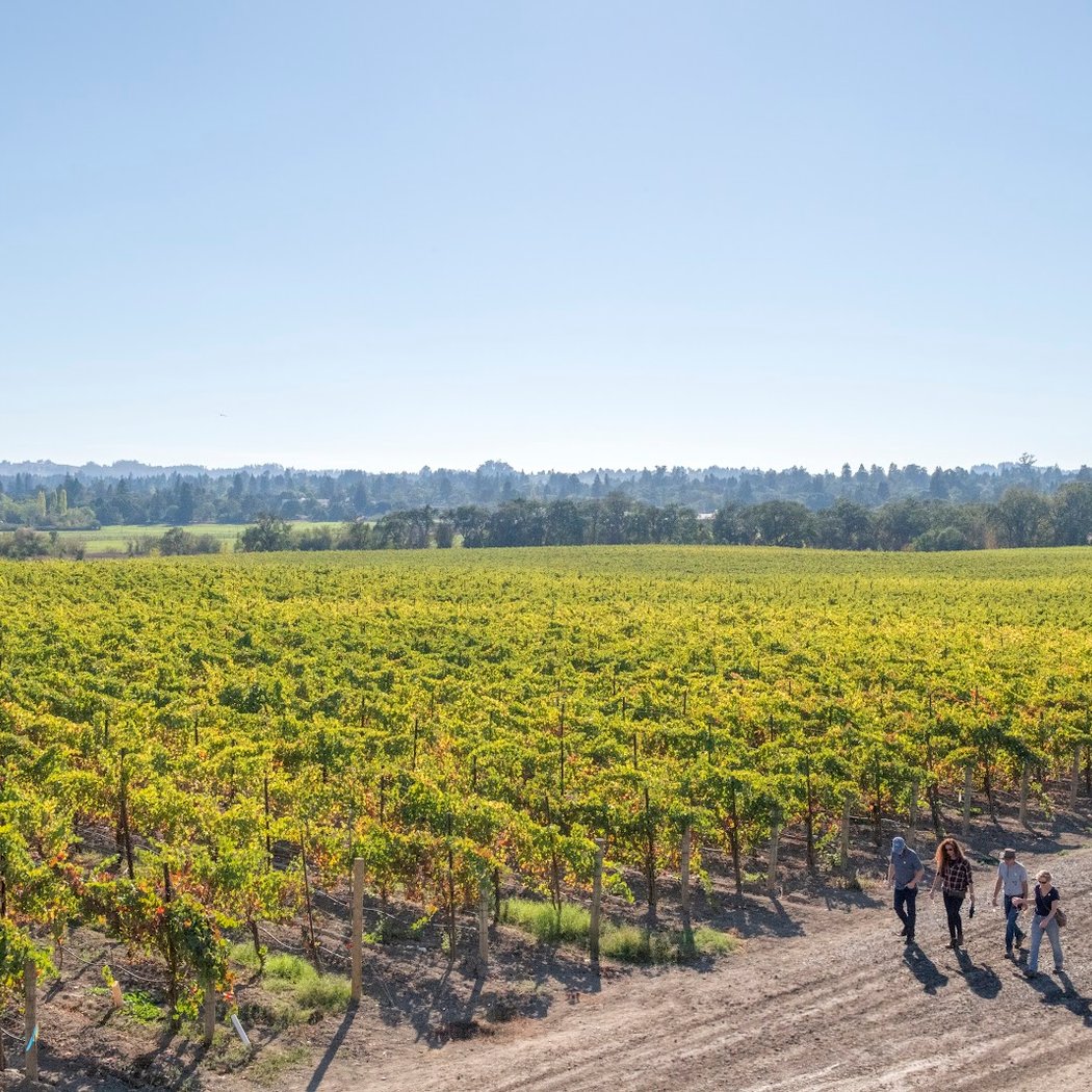 Wine Club Appreciation Weekend 2