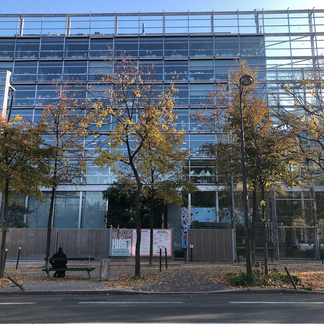 Exposition Générale – Fondation Cartier pour l'art contemporain 2