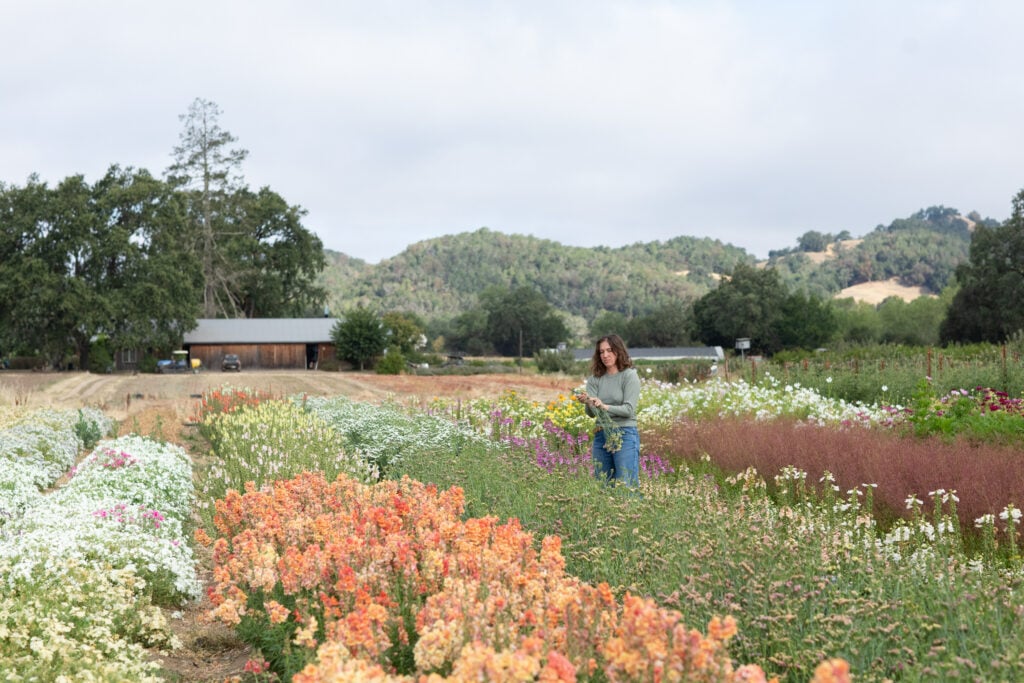 Front Porch Farm 2