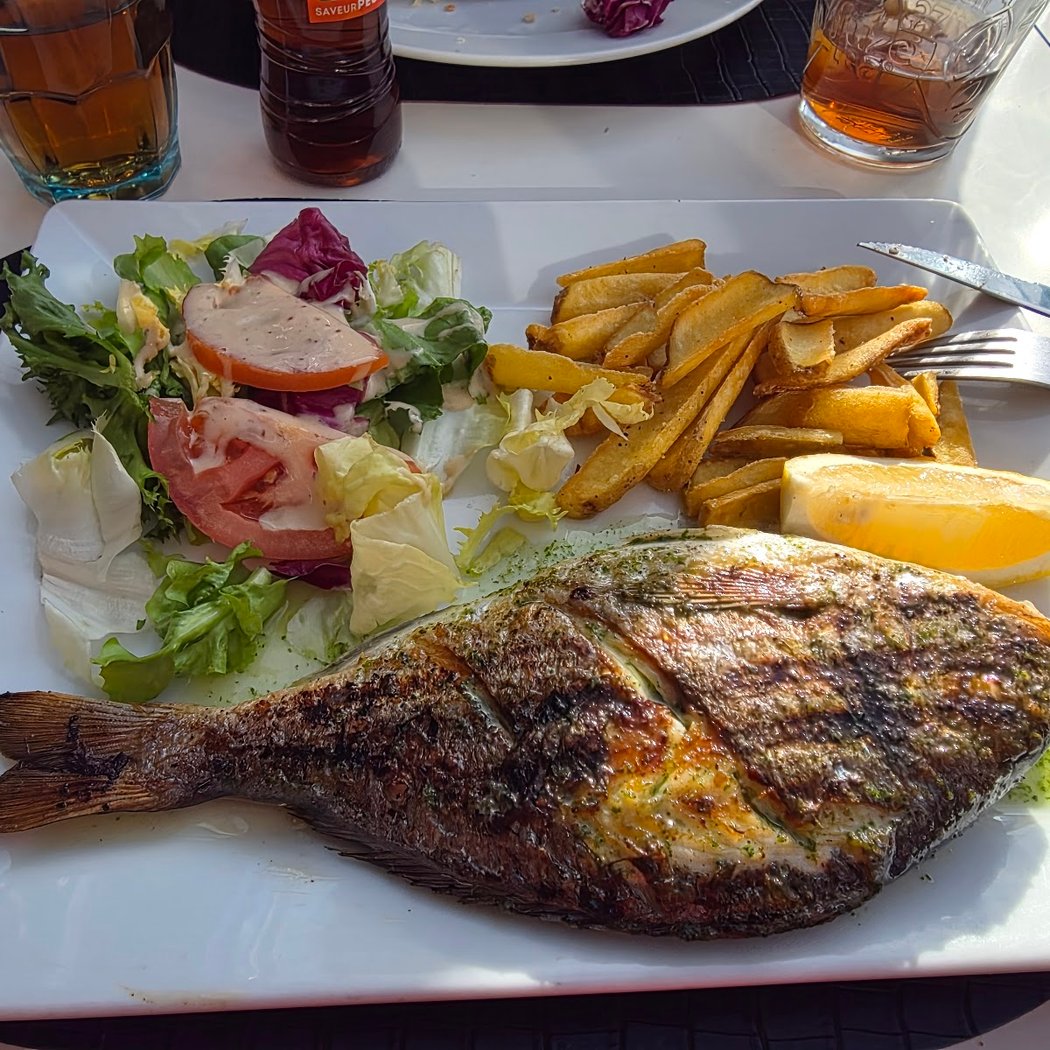 Le New Terrasse 1