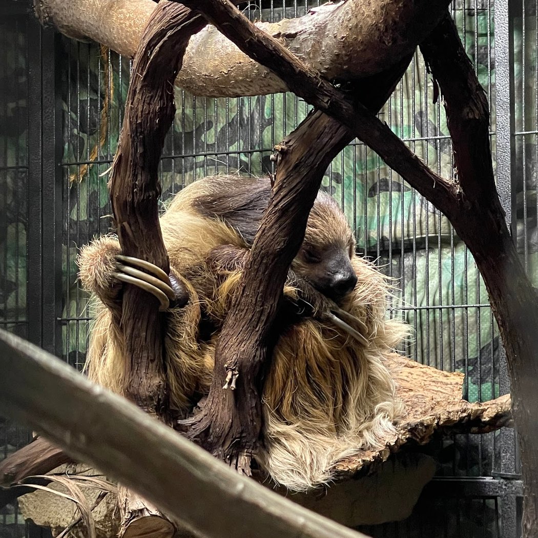 The Wildlife Education and Conservation Center(MUST GET TICKETS THROUGH WEBSITE!) 3