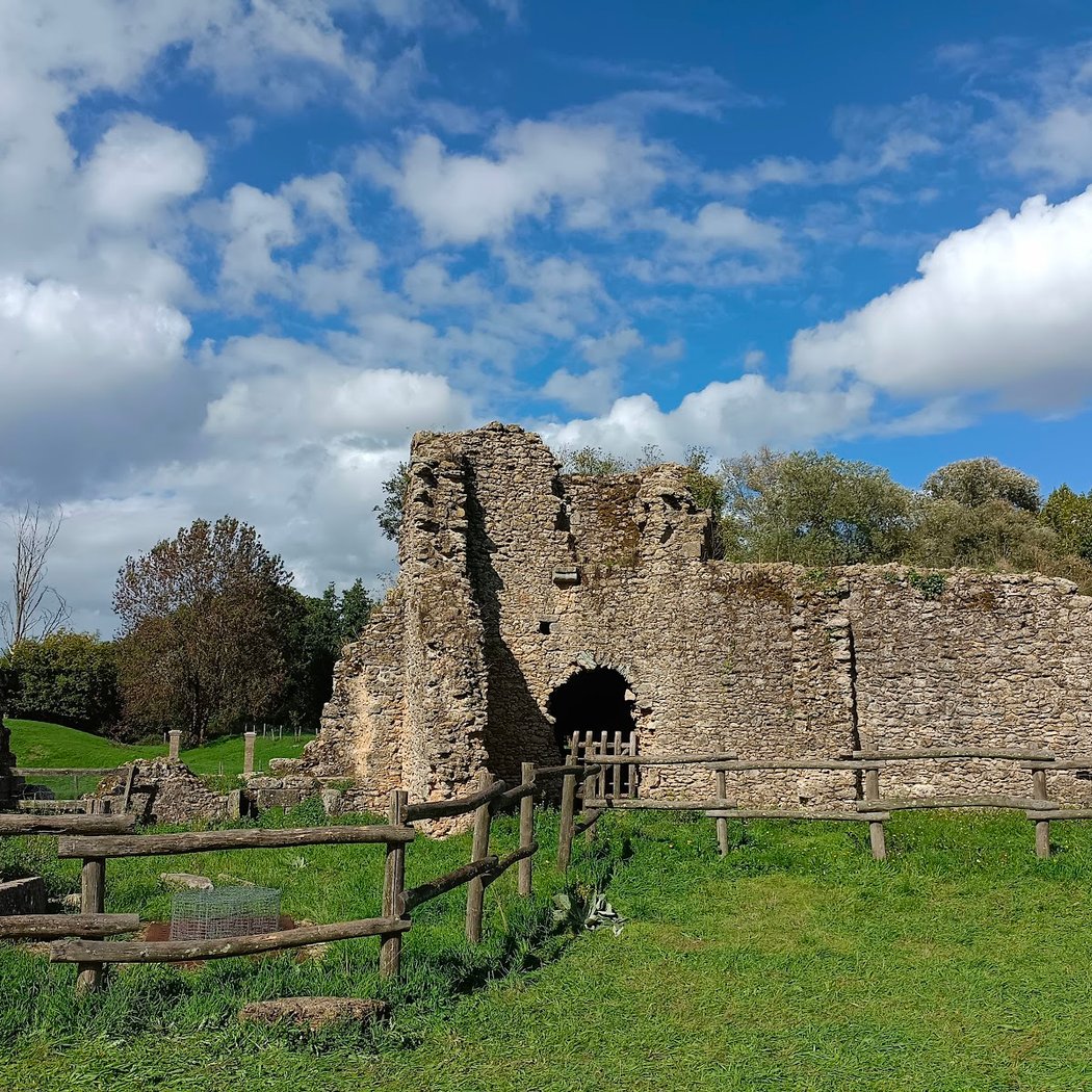 Château de Commequiers 3