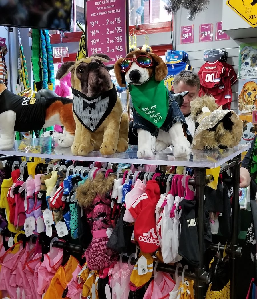 Bow Wow 1