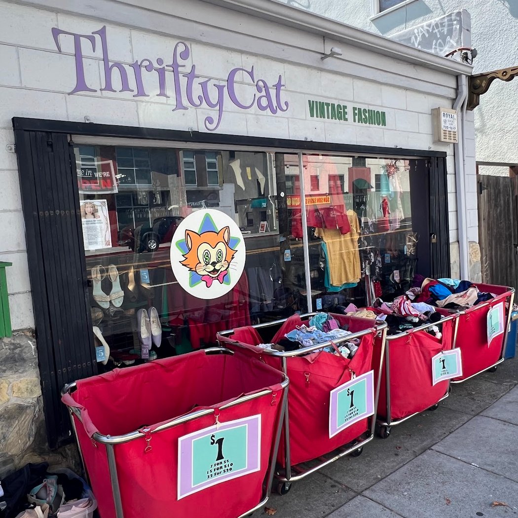 ThriftyCat 3