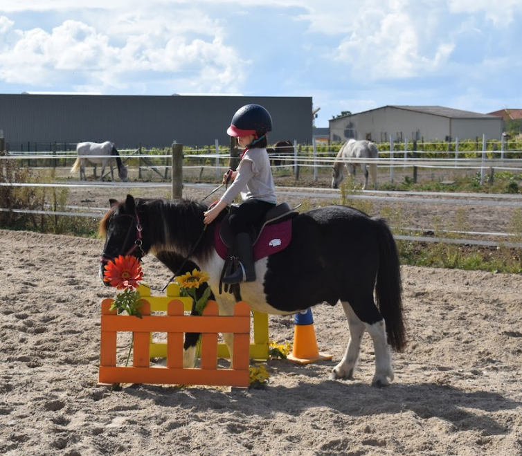 Cours d’équitation et stage d’équitation 2