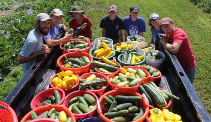 Rancocas Creek Farm CSA Volunteer & Workshare 1