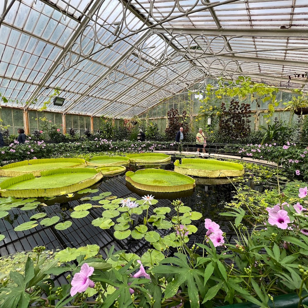 Daily Guided Tours at Kew Gardens 3