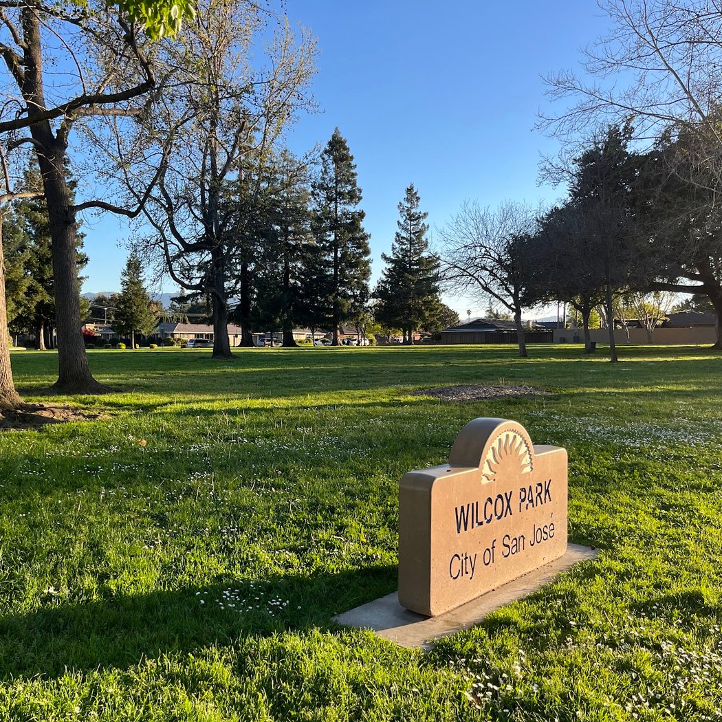 Wilcox Park 1