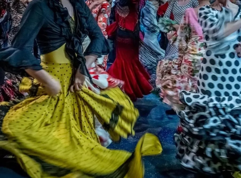 FLAMENCO AZUL 1