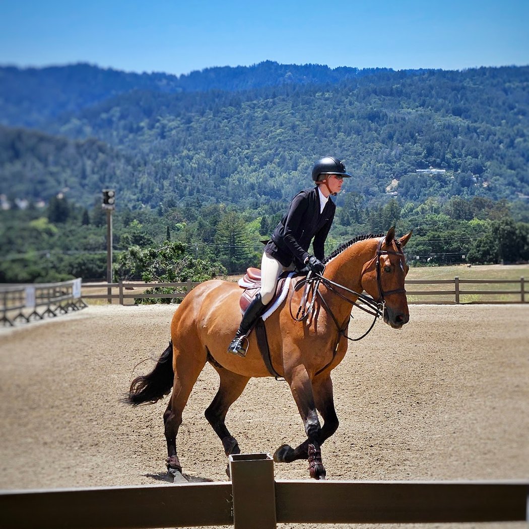Horse Park at Woodside 1