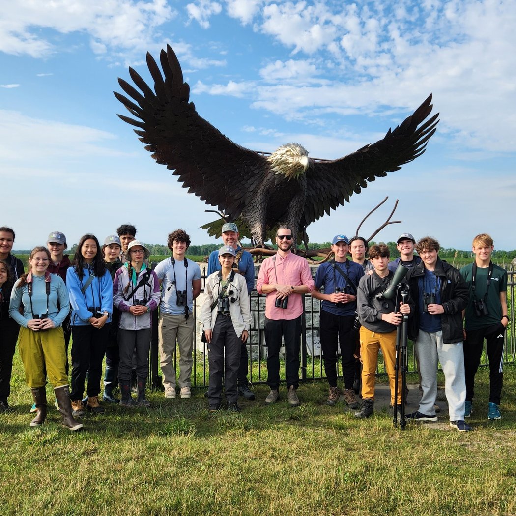 Young Birders: Novel Nightjars 2