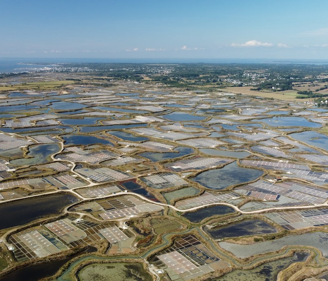 Desmars Salants Emilie Paludiere À Guerande 1