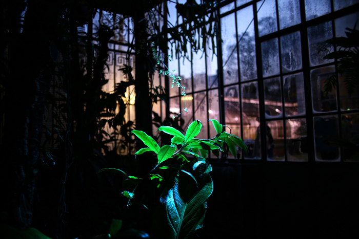 Noël au Palmarium 1