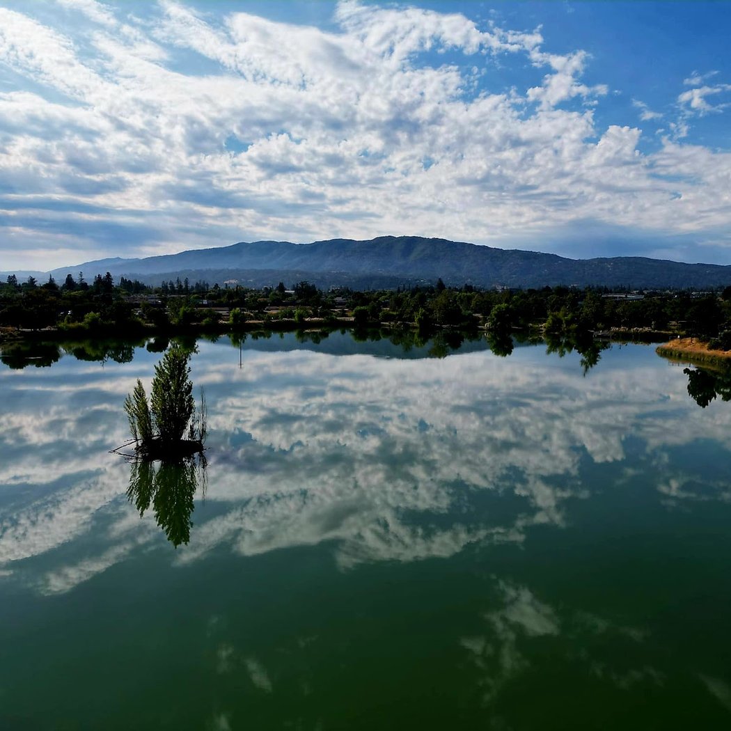 Los Gatos Creek Trail - Vasona Park 1