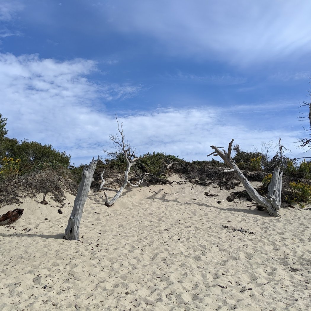Higbee Beach 3