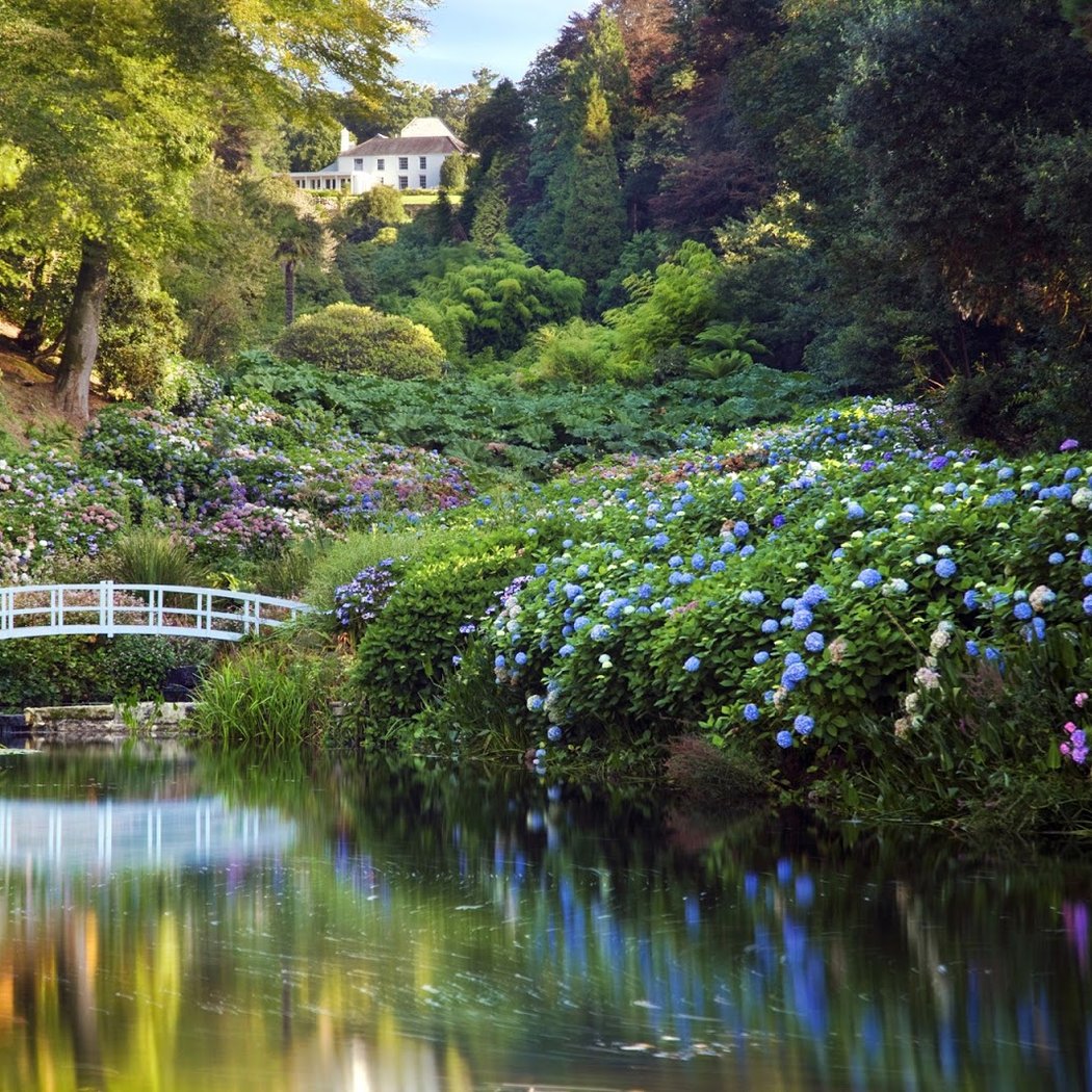 Trebah Garden 1
