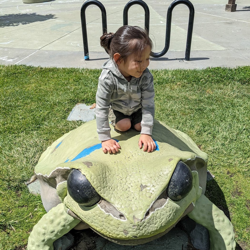 Frog Pad Park 1