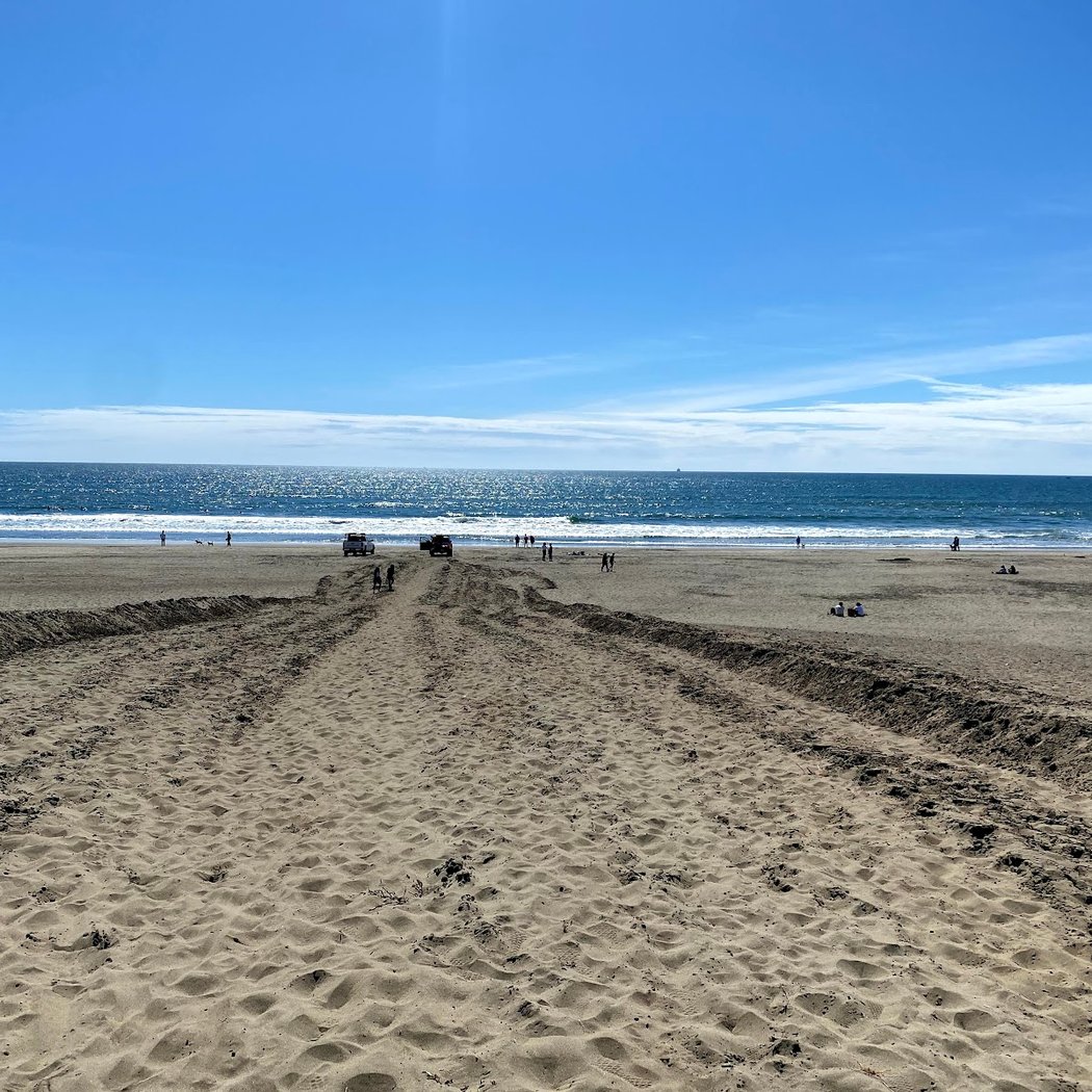 Sundays at the Beach Chair Yoga Day 2