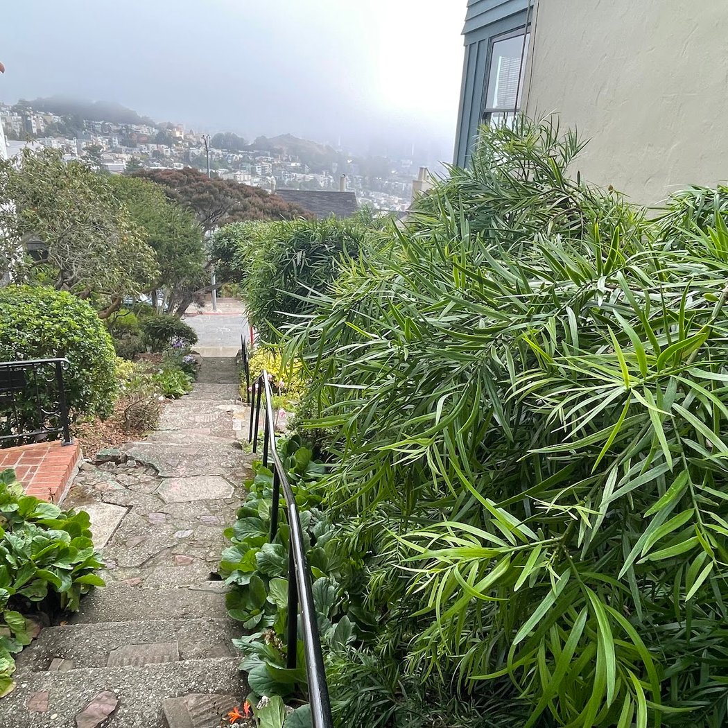 Clarendon Heights 3