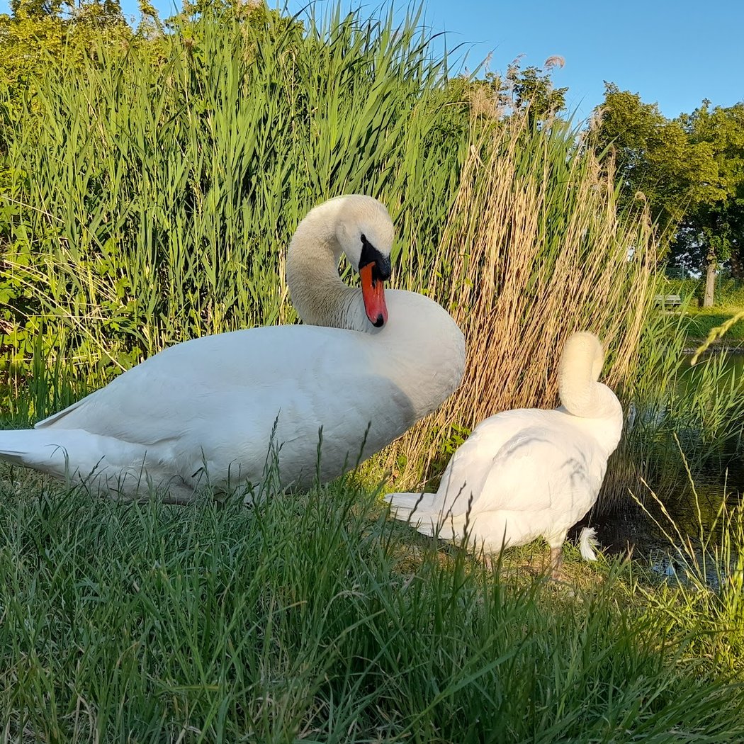 Parc Interdépartemental de Choisy Paris Val de Marne 1