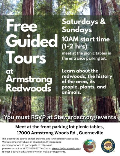 Free Guided Walks Through Armstrong Redwoods 1
